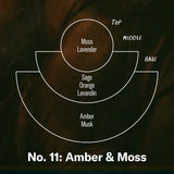 graph explaining scent profile. “Amber and moss: base note of amber and musk. middle note of sage, orange, and lavandin. top note of moss and lavender. “