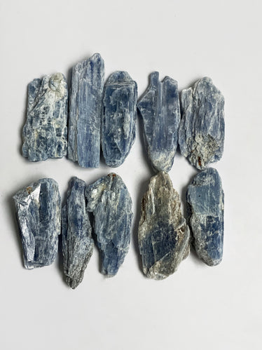 10 blue kyanite crystals lay flat against a white background. 
