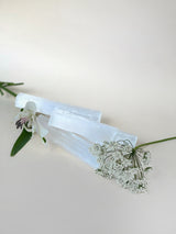 Small selenite sticks on white background showing beautiful light reflection