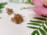 aragonite clusters on neutral background with leaves and flowers